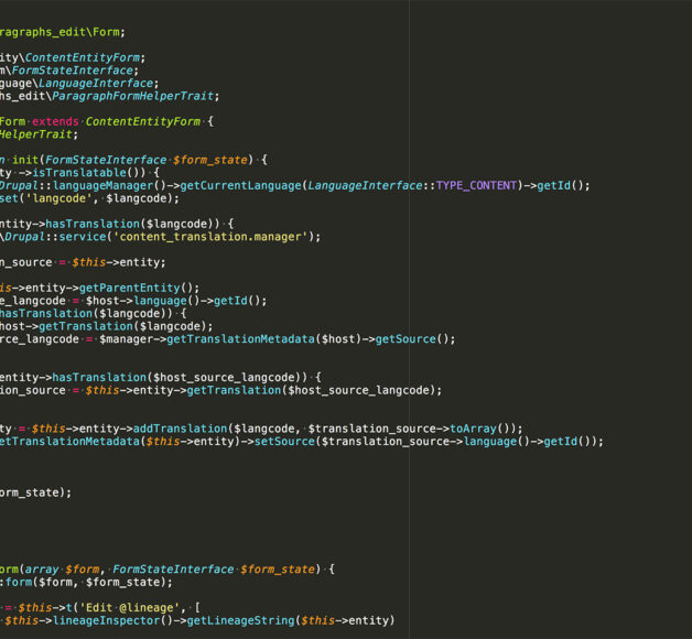 Image of the code behind the Paragraphs module