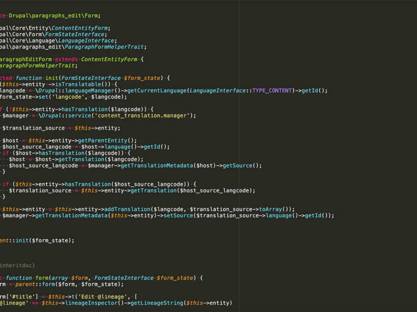 Image of the code behind the Paragraphs module
