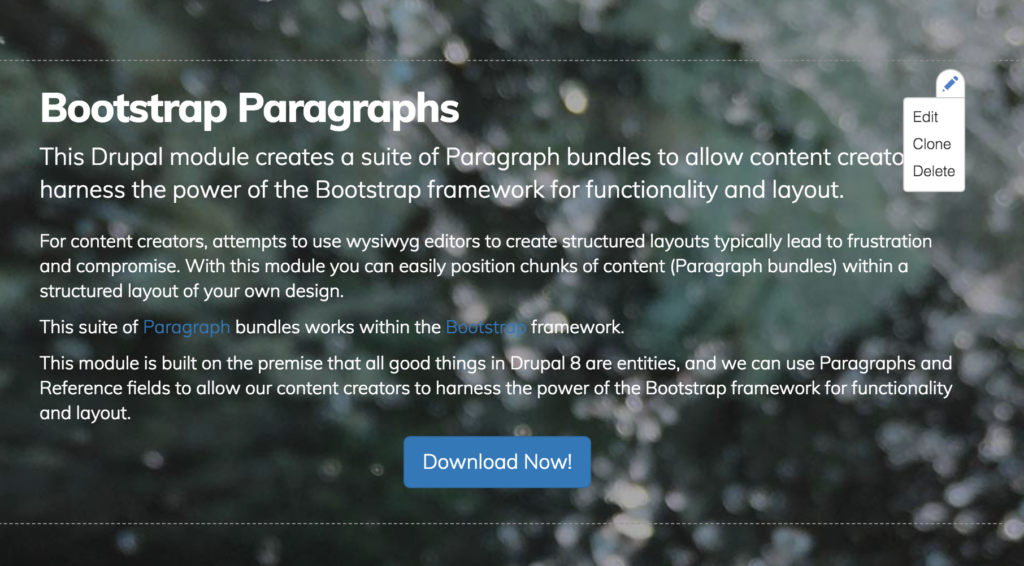 Screen grab of hover state for Paragraphs component