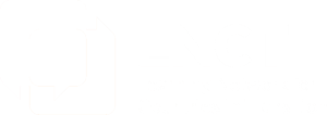 Learning Networks for Countries in Transition logo.