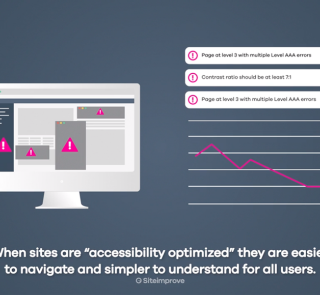 Screengrab from SiteImprove video explaining their product