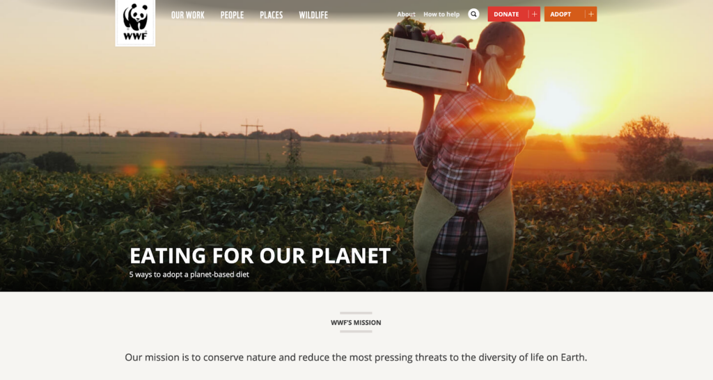 World Wildlife Fund has one of the best nonprofit websites.