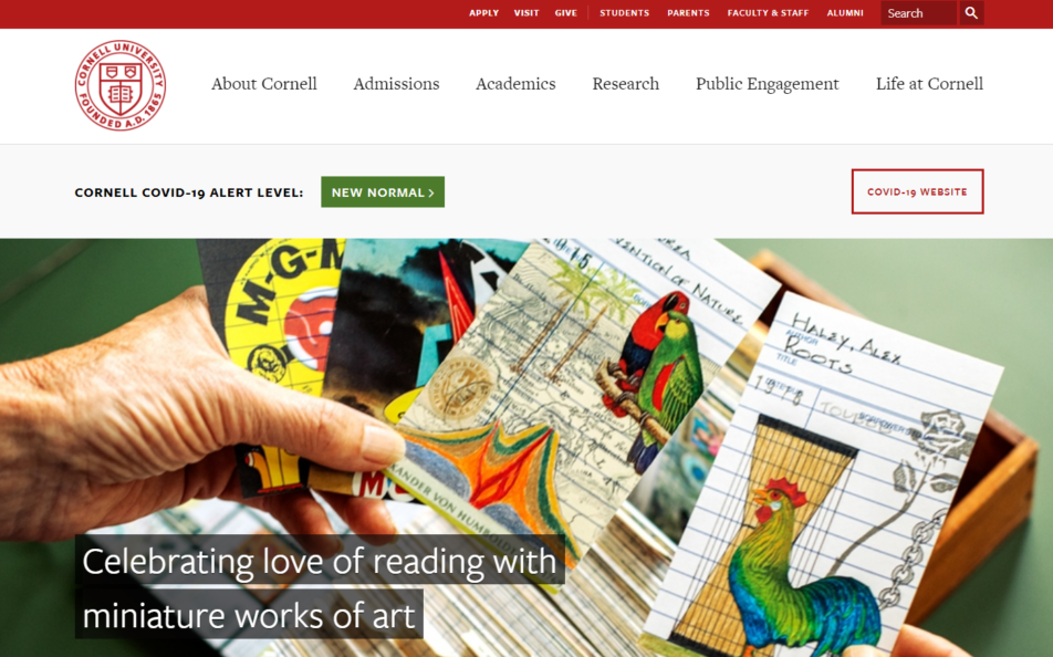 The 20 Best College Websites (And What Makes Them Great)