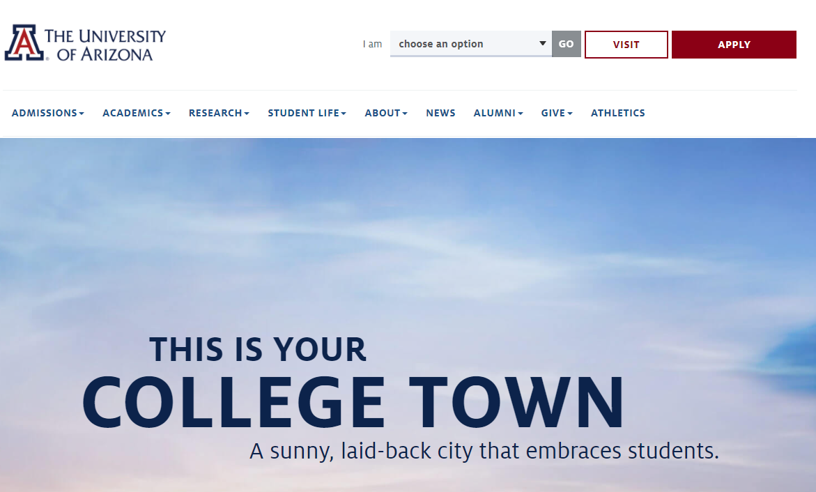 The 20 Best College Websites (And What Makes Them Great)