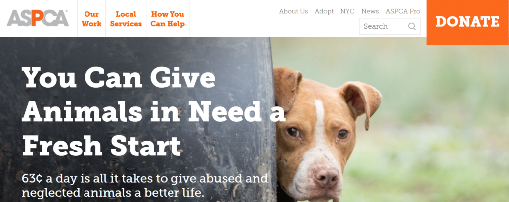 The ASPCA is one of the best nonprofit websites because of its obvious donation opportunities and descriptive fundraising page. 