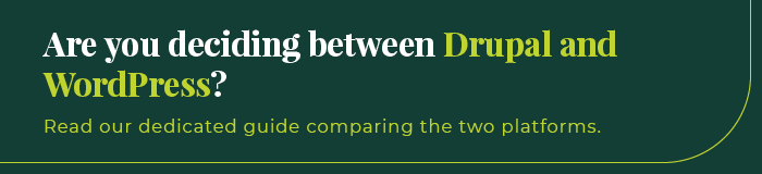 Deciding between Drupal and WordPress? Read our guide to compare the two platforms. 