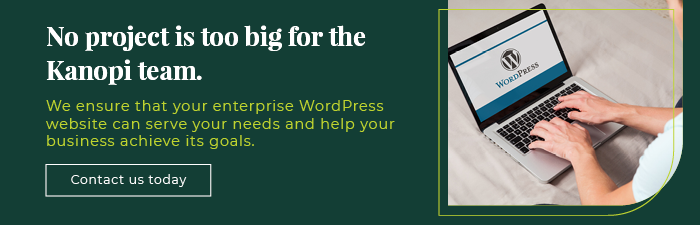 Kanopi can help ensure your WordPress website can serve your needs and help your business achieve its goals. 