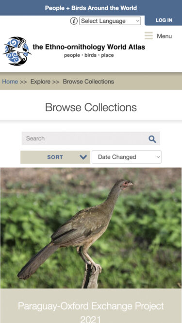 EWA mobile: browse collections
