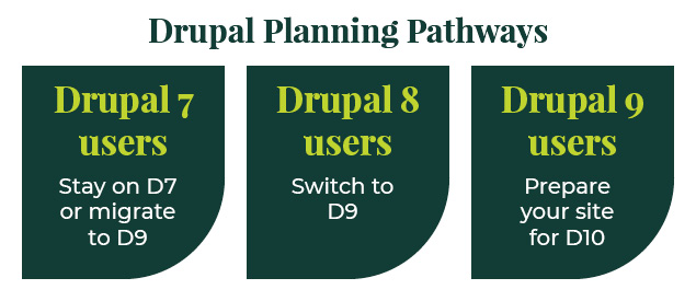 These are the different Drupal planning pathways for users that want to continue using Drupal. 