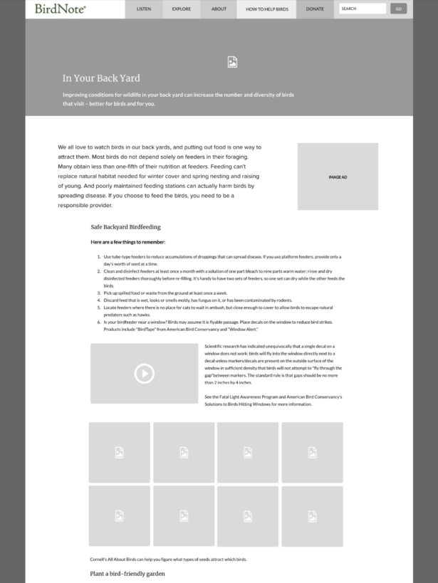 Birdnote: In Your Backyard Basic Wireframe