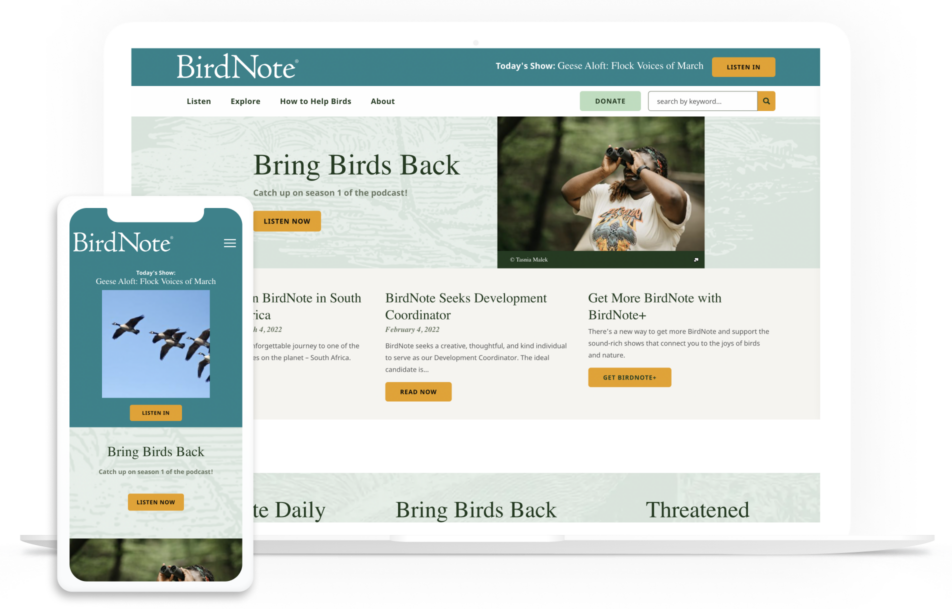 Birdnote website on multiple devices