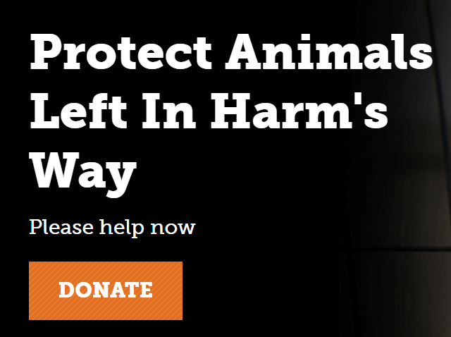 A screenshot showing a CTA on the ASPCA homepage. It says “Protect Animals Left In Harm’s Way. Please help now. DONATE.” 