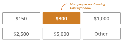 A screenshot showing a portion of the CARE online donation page. It shows several donation amount options and highlights the $300 option with a note that says “Most people are donating $300 right now.” 