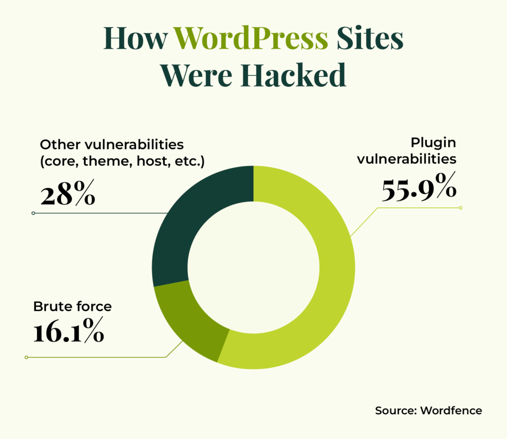 Statistics showing how WordPress websites were hacked (55.9% were plugin vulnerabilities, 28% were other vulnerabilities, and 16.1% were brute force) 